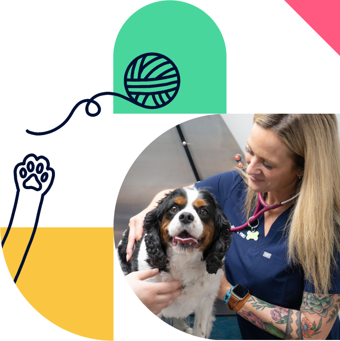 Shepherd works the way you do