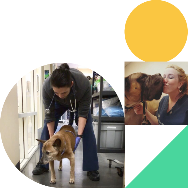 Shepherd team member Amber and onother Shepherd team member on the tree