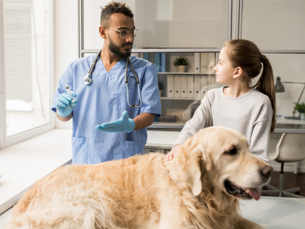 Digital Dynamics: Enhancing In-Person Client Relationships