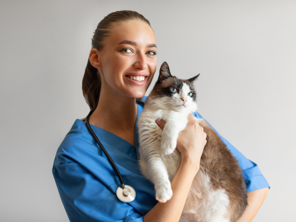 Open API Access in Veterinary Software: What Does it Mean for Your Practice?