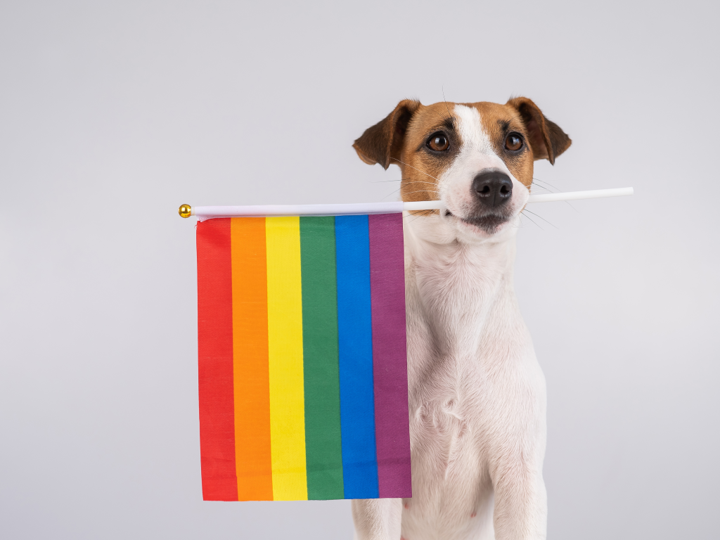 Pride in Our Profession: Championing Colleagues Who Strengthen Veterinary Medicine