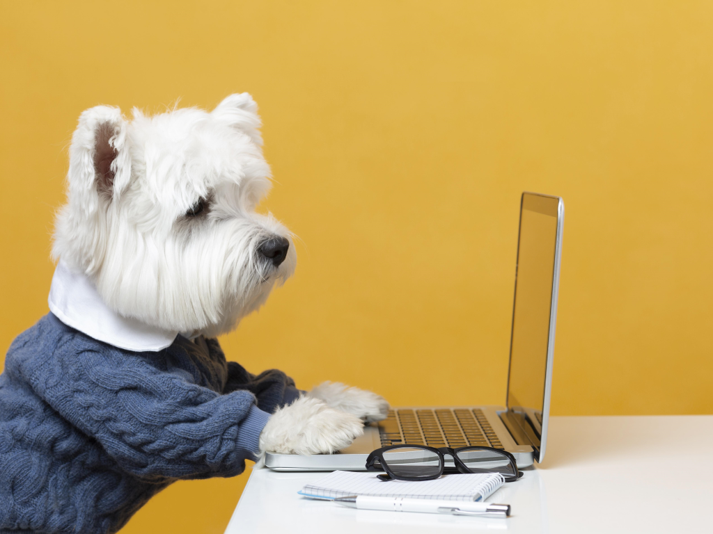 Spring Into the Newest Features from Shepherd!