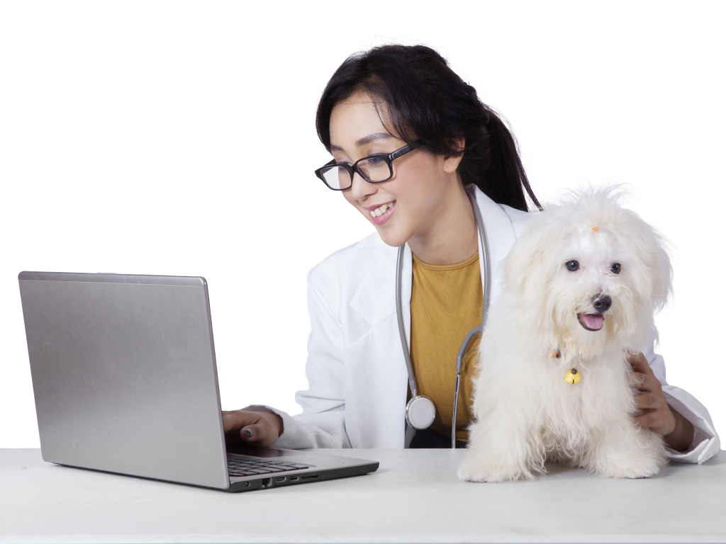 New Year, New Features from Shepherd Software