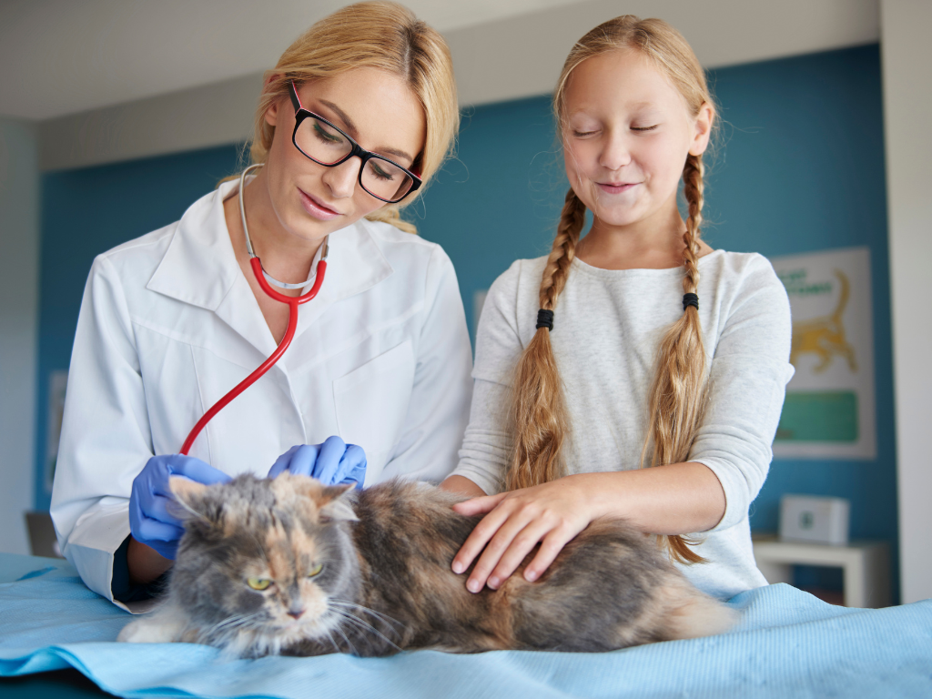 Balancing Act: Vet Med and Single Parenting