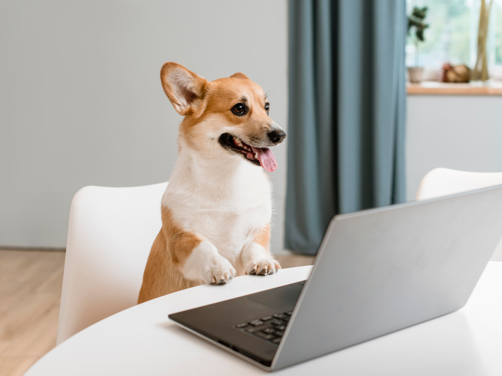 Questions to Ask During a Veterinary Software Demo