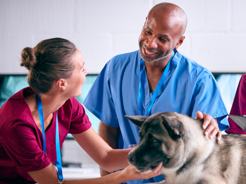 5 Ways to Help Your Veterinary Staff Grow Their Skill Set