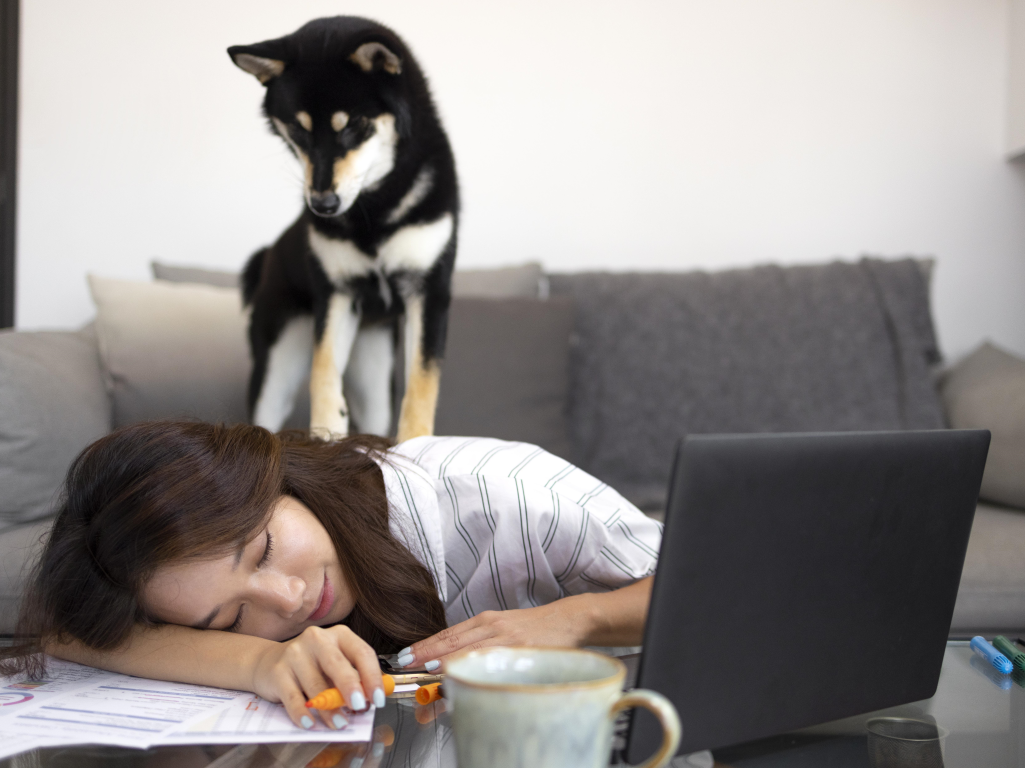 Team in Trouble? Recognizing Veterinary Burnout