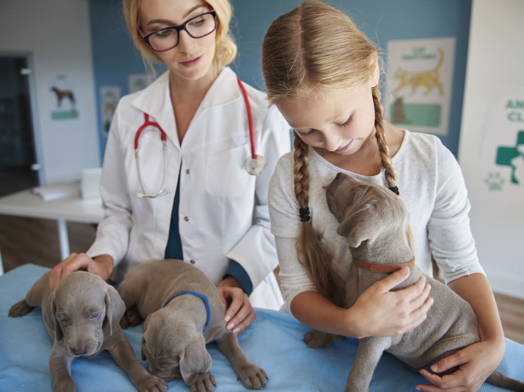 Stethoscopes and School Runs: Adventures in Vet Parenthood
