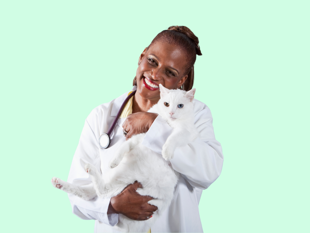 Weave Integrates with Shepherd: Elevate Your Veterinary Practice Management