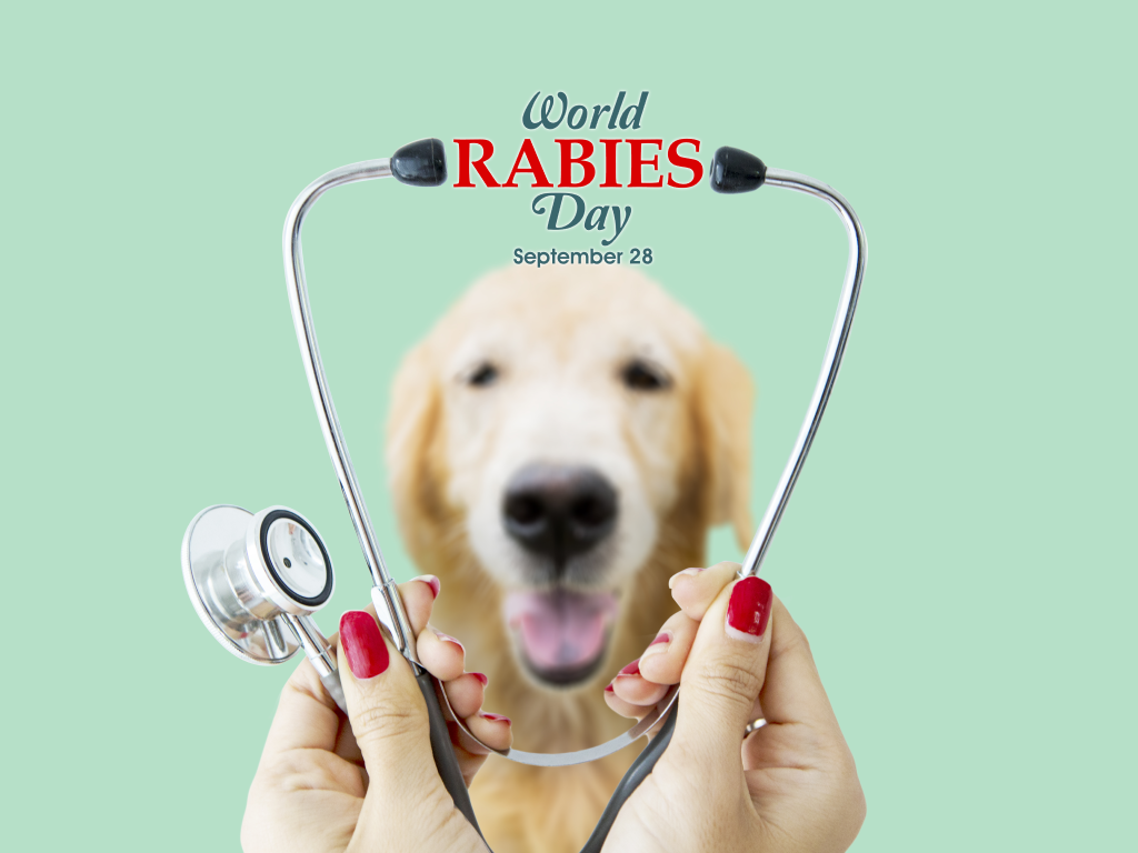 United for a Rabies-Free World: What Every Vet Team Can Do on World Rabies Day